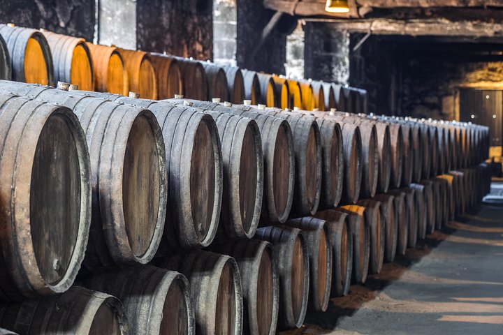 Tur i liten grupp som utforskar Dourodalens vingårdar och vinerier från Porto, foto 19 | wizardtrip