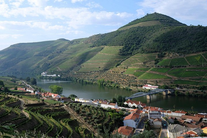 Tur i liten grupp som utforskar Dourodalens vingårdar och vinerier från Porto, foto 22 | wizardtrip
