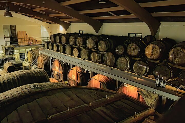 Tur i liten grupp som utforskar Dourodalens vingårdar och vinerier från Porto, foto 26 | wizardtrip
