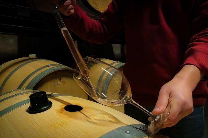 Tur i liten grupp som utforskar Dourodalens vingårdar och vinerier från Porto, foto 28 | wizardtrip
