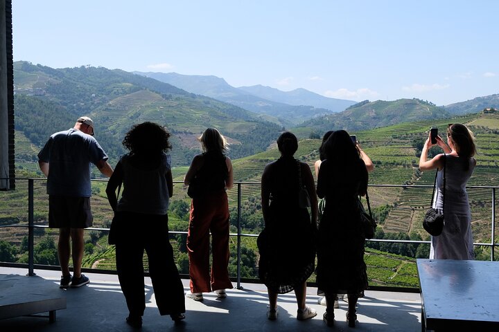 Tur i liten grupp som utforskar Dourodalens vingårdar och vinerier från Porto, foto 31 | wizardtrip
