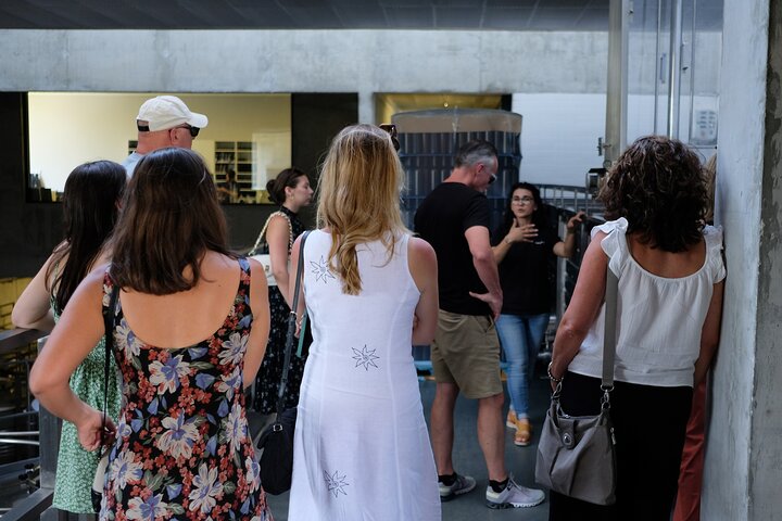 Tur i liten grupp som utforskar Dourodalens vingårdar och vinerier från Porto, foto 32 | wizardtrip