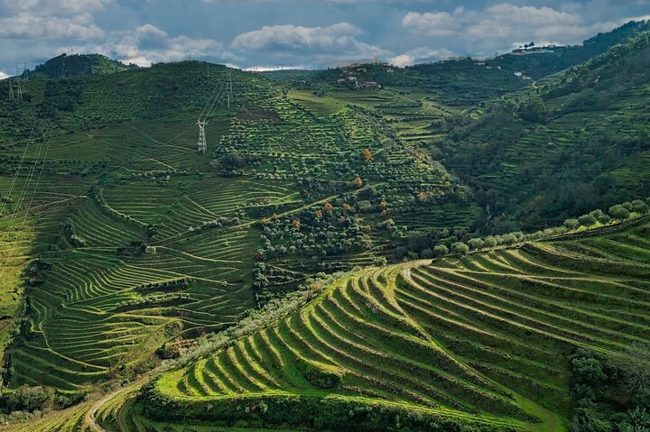 Tur i liten grupp som utforskar Dourodalens vingårdar och vinerier från Porto, foto 34 | wizardtrip