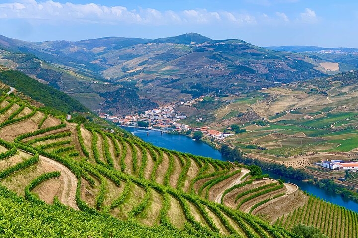 Tur i liten grupp som utforskar Dourodalens vingårdar och vinerier från Porto, foto 36 | wizardtrip