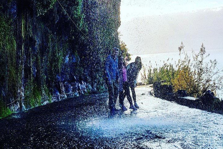 Tour en Jeep explorant la côte ouest de Madère, incluant piscines naturelles, falaises et forêts, photo 14 | wizardtrip