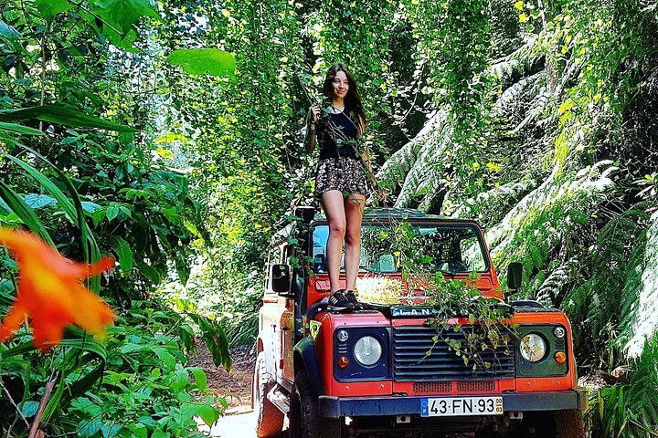 Tour en Jeep explorant la côte ouest de Madère, incluant piscines naturelles, falaises et forêts, photo 21 | wizardtrip