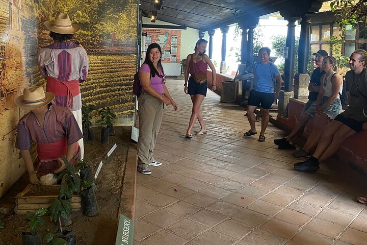 Radtour durch Kaffeeplantagen und Kunsthandwerksmärkte in Antigua, Guatemala, Foto 7 | wizardtrip