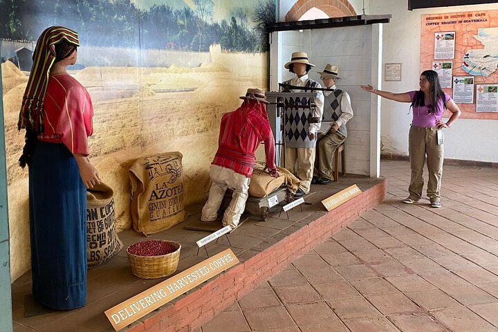 Radtour durch Kaffeeplantagen und Kunsthandwerksmärkte in Antigua, Guatemala, Foto 8 | wizardtrip