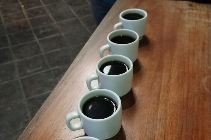 Radtour durch Kaffeeplantagen und Kunsthandwerksmärkte in Antigua, Guatemala, Foto 21 | wizardtrip