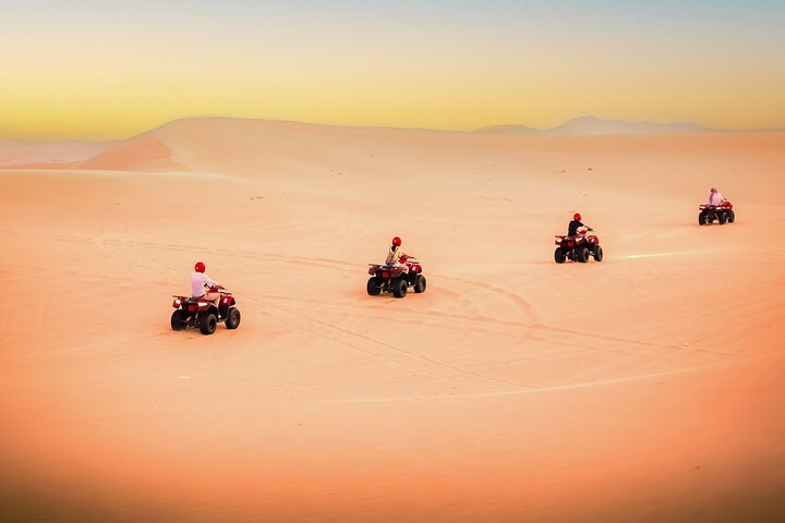 Safari dans le désert en soirée à Abu Dhabi avec dîner BBQ, balade à dos de chameau et spectacles | wizardtrip