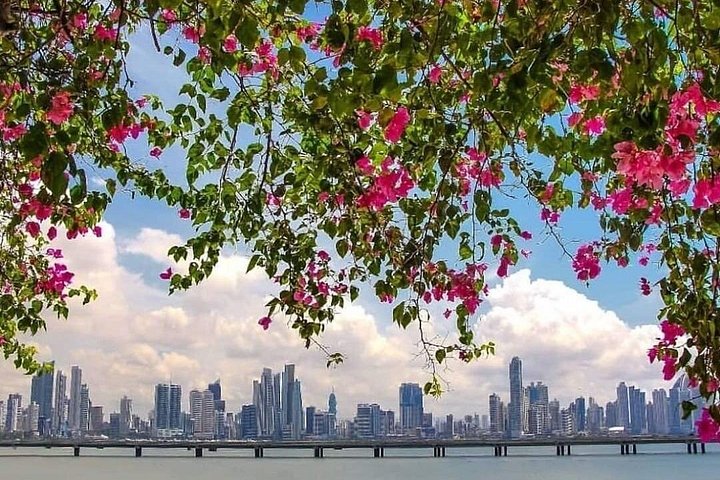 パナマシティの象徴的な運河、歴史的な旧市街、景色の良いアマドール・コーズウェーを巡ります、写真25 | wizardtrip