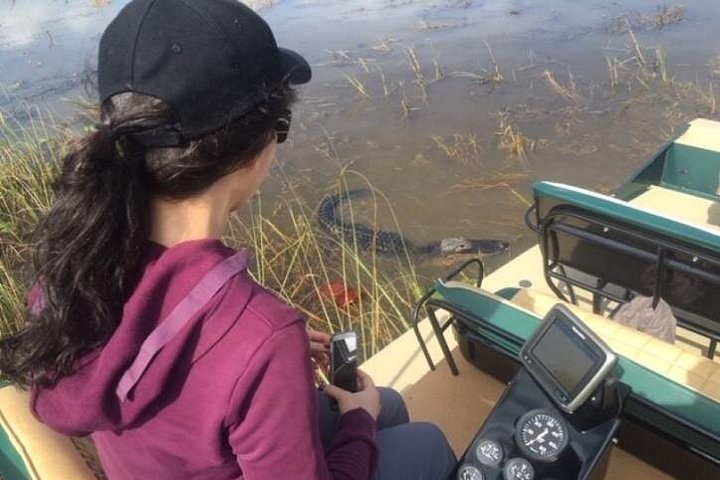Oplev en spændende airboat-tur gennem Miami Everglades, og spot dyreliv, foto 6 | wizardtrip