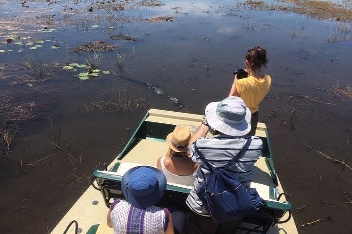 Oplev en spændende airboat-tur gennem Miami Everglades, og spot dyreliv, foto 7 | wizardtrip
