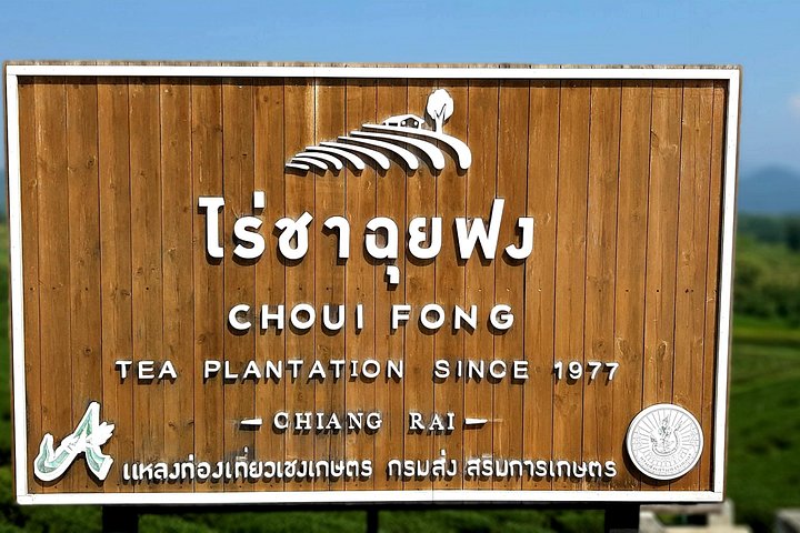 Sightseeingtour Chiang Rai met de Witte Tempel, Blauwe Tempel, Gouden Driehoek en theeplantages, foto 8 | wizardtrip