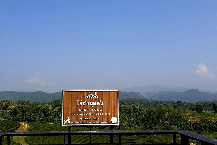 Sightseeingtour Chiang Rai met de Witte Tempel, Blauwe Tempel, Gouden Driehoek en theeplantages, foto 12 | wizardtrip