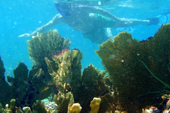 Experience a thrilling 4-hour island hopping and snorkeling adventure in Saint Martin with power boat rides and beach stops, photo 7 | wizardtrip