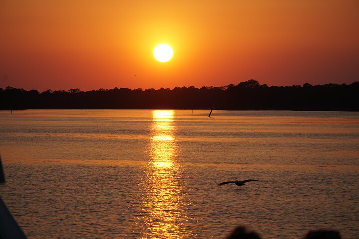 Crociera al Tramonto tra Delfini e Natura da Orange Beach | wizardtrip