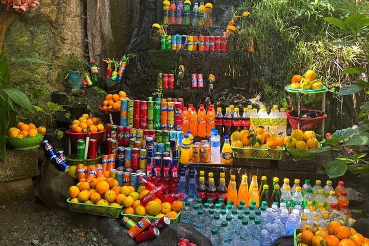 Udforsk Atlasbjergene og berberlandsbyer på en dagstur fra Marrakech, inklusive kamelridetur og frokost, foto 12 | wizardtrip