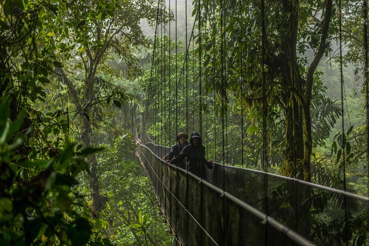 ラ・フォルトゥナの自然の美しさを探索：滝、吊り橋、アレナル火山、写真10 | wizardtrip