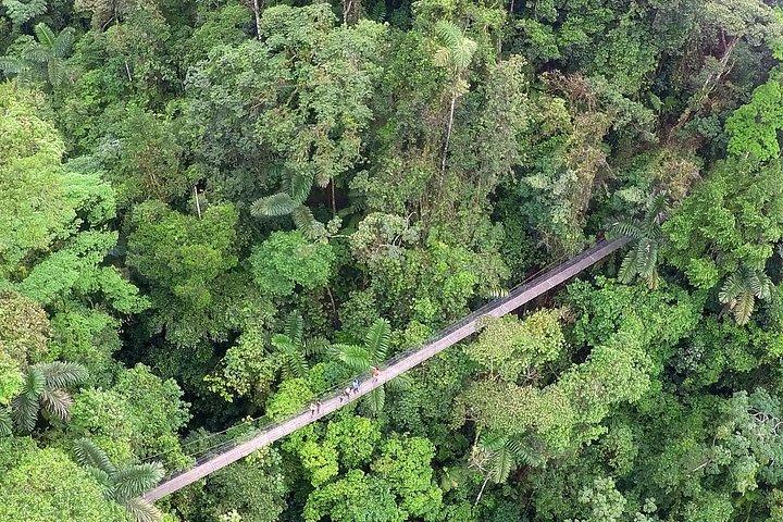 ラ・フォルトゥナの自然の美しさを探索：滝、吊り橋、アレナル火山、写真12 | wizardtrip