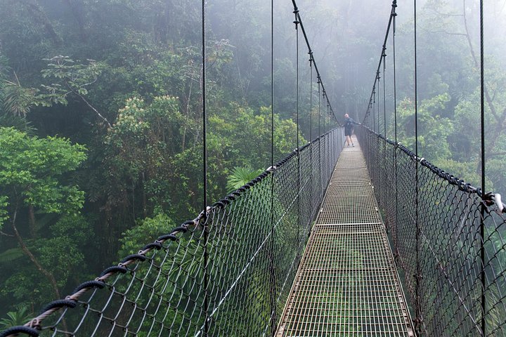 ラ・フォルトゥナの自然の美しさを探索：滝、吊り橋、アレナル火山、写真13 | wizardtrip