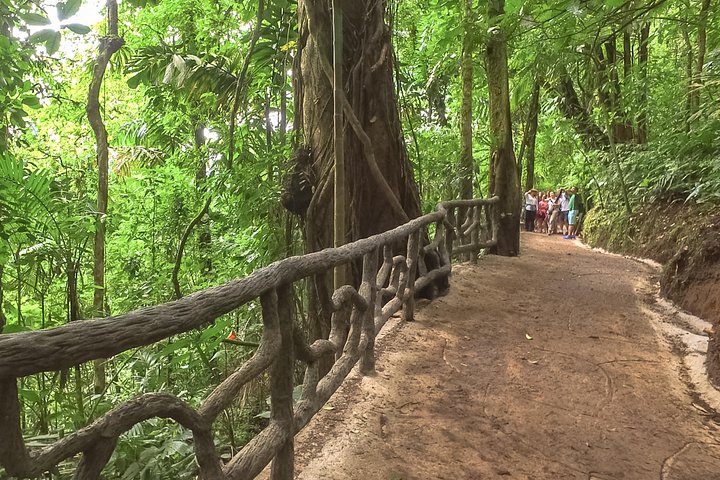 ラ・フォルトゥナの自然の美しさを探索：滝、吊り橋、アレナル火山、写真14 | wizardtrip