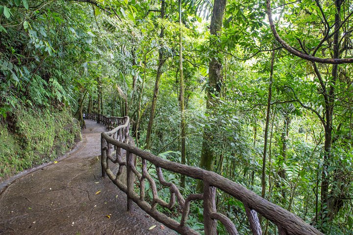ラ・フォルトゥナの自然の美しさを探索：滝、吊り橋、アレナル火山、写真16 | wizardtrip