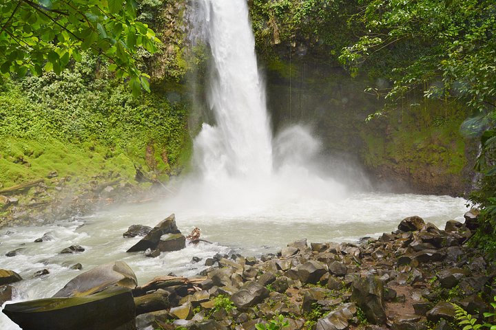 ラ・フォルトゥナの自然の美しさを探索：滝、吊り橋、アレナル火山、写真23 | wizardtrip