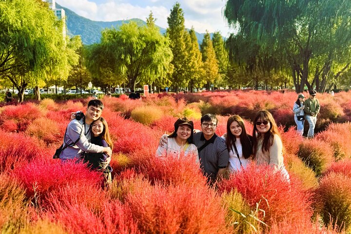 Private guided tour exploring Busan's cultural sites, markets, and scenic spots, photo 11 | wizardtrip