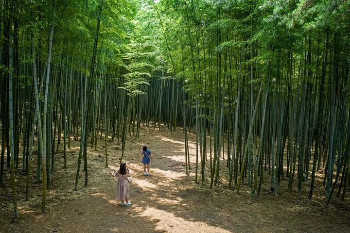 Private guided tour exploring Busan's cultural sites, markets, and scenic spots, photo 20 | wizardtrip