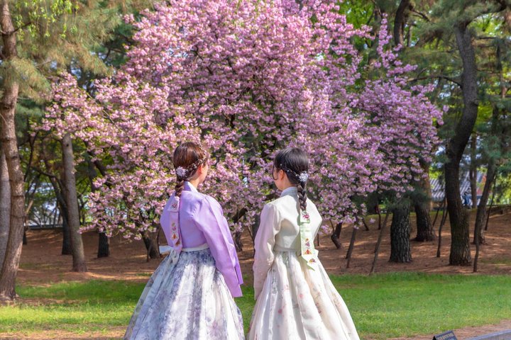 Private Tour zu UNESCO-Stätten und traditionellen Dörfern in Gyeongju, Südkorea, Foto 6 | wizardtrip