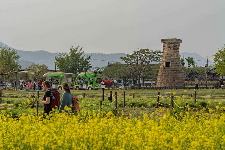 Private Tour zu UNESCO-Stätten und traditionellen Dörfern in Gyeongju, Südkorea, Foto 19 | wizardtrip