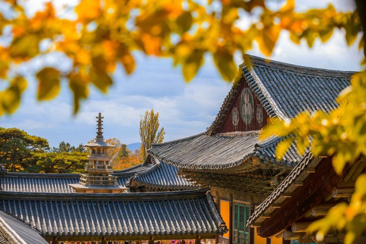 Private Tour zu UNESCO-Stätten und traditionellen Dörfern in Gyeongju, Südkorea, Foto 26 | wizardtrip