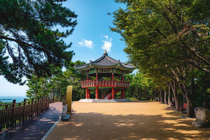 Tour pelos destaques de Busan com paisagens costeiras, vilas culturais e mercados, foto 7 | wizardtrip