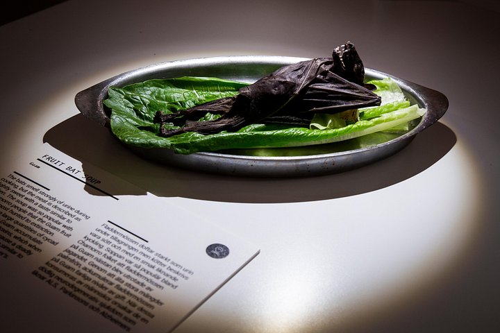 Billet d'entrée pour le Musée des aliments dégoûtants à Malmö, Suède, offrant une aventure culinaire unique, photo 6 | wizardtrip