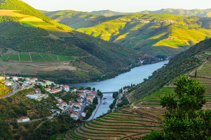 Vues panoramiques des vignobles de la vallée du Douro, croisière fluviale et expériences de dégustation de vin, photo 7 | wizardtrip