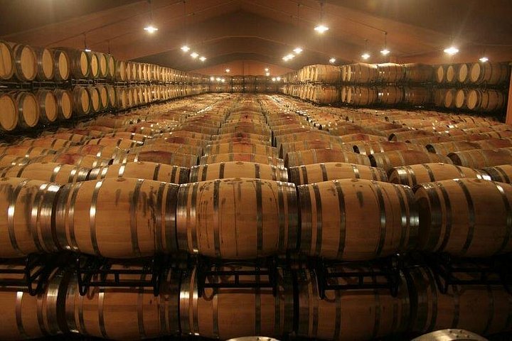 Vues panoramiques des vignobles de la vallée du Douro, croisière fluviale et expériences de dégustation de vin, photo 8 | wizardtrip