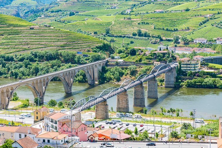 Vues panoramiques des vignobles de la vallée du Douro, croisière fluviale et expériences de dégustation de vin, photo 22 | wizardtrip
