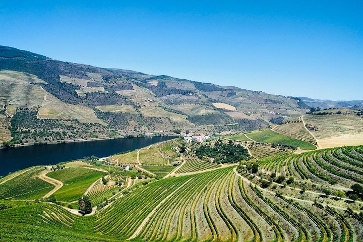 Vues panoramiques des vignobles de la vallée du Douro, croisière fluviale et expériences de dégustation de vin, photo 23 | wizardtrip