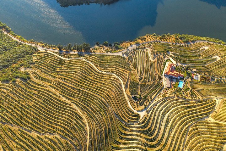 Vues panoramiques des vignobles de la vallée du Douro, croisière fluviale et expériences de dégustation de vin, photo 24 | wizardtrip
