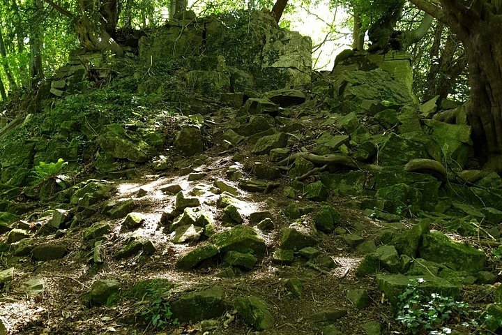 Esplora castelli storici e coste mozzafiato in un tour guidato del Galles, foto 32 | wizardtrip
