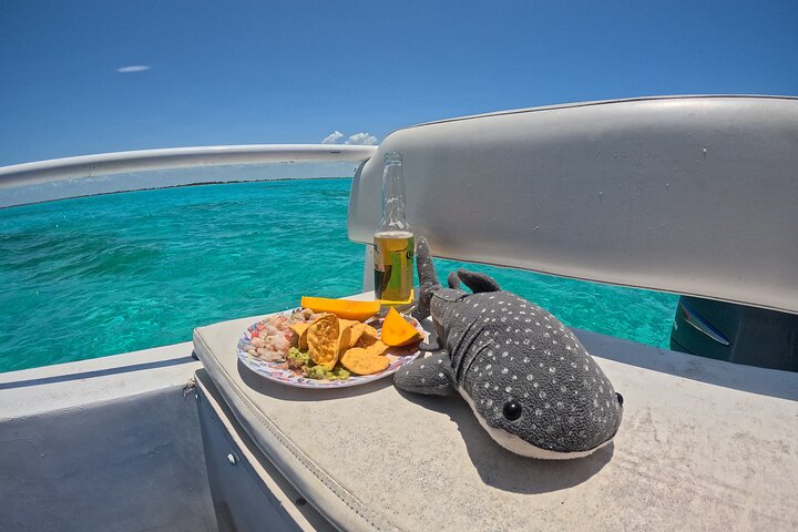 Nada con gentiles tiburones ballena en las aguas claras de Cancún, México, foto 9 | wizardtrip