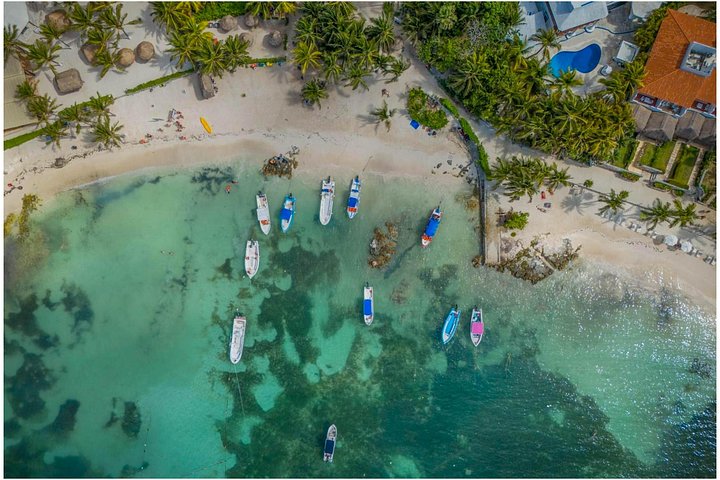 Ruines de Tulum, Tortues à Akumal et Cénote | wizardtrip