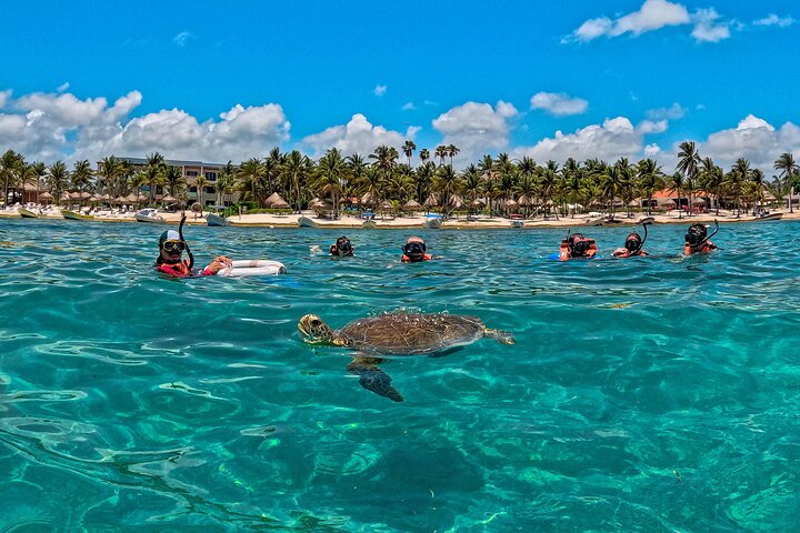 Explorez les ruines de Tulum, nagez avec les tortues à Akumal et baignez-vous dans un cénote lors de cette excursion dans la Riviera Maya, photo 19 | wizardtrip