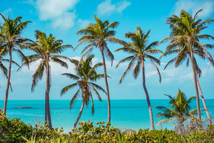 Bådtur til Isla Contoy og Isla Mujeres fra Playa del Carmen, Mexico, med snorkling og ø-udforskning, foto 7 | wizardtrip