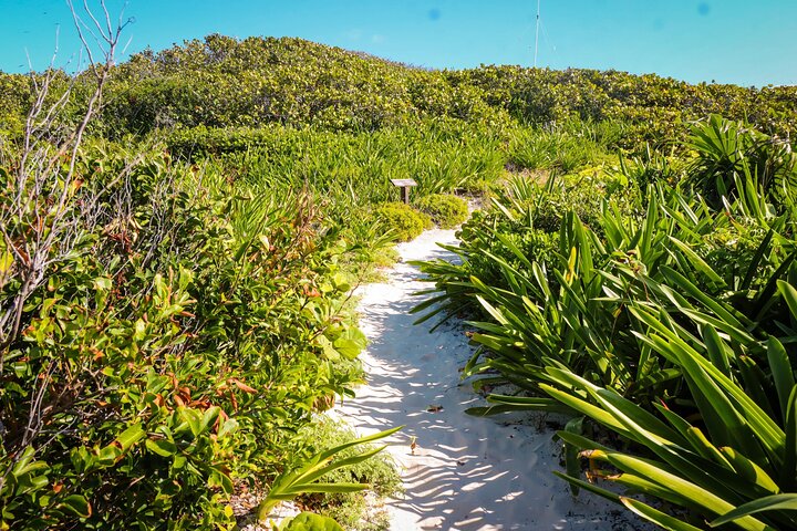 Bådtur til Isla Contoy og Isla Mujeres fra Playa del Carmen, Mexico, med snorkling og ø-udforskning, foto 9 | wizardtrip