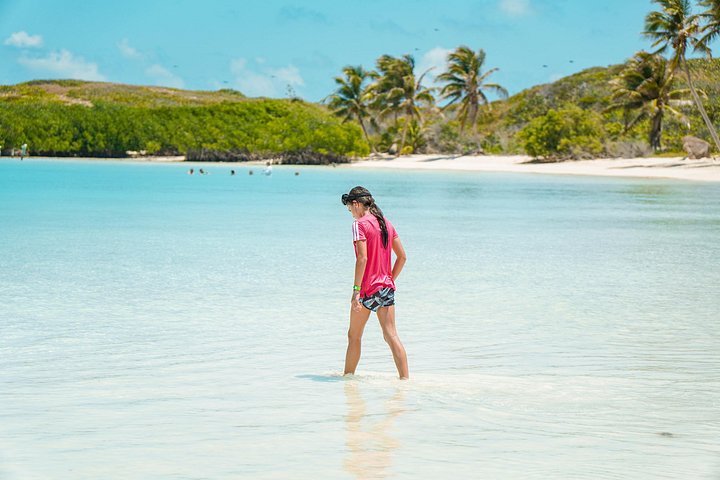 Bådtur til Isla Contoy og Isla Mujeres fra Playa del Carmen, Mexico, med snorkling og ø-udforskning, foto 12 | wizardtrip