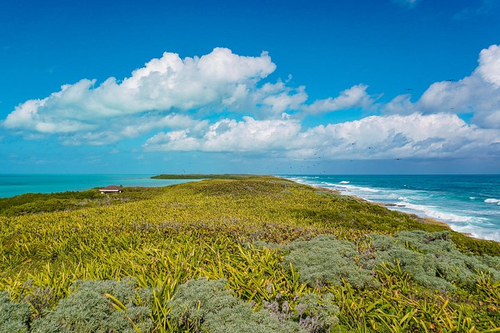 Bådtur til Isla Contoy og Isla Mujeres fra Playa del Carmen, Mexico, med snorkling og ø-udforskning, foto 13 | wizardtrip