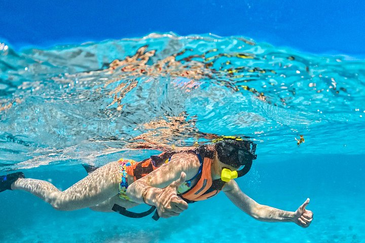 Bådtur til Isla Contoy og Isla Mujeres fra Playa del Carmen, Mexico, med snorkling og ø-udforskning, foto 20 | wizardtrip