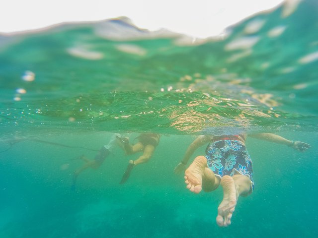 Heldagstur, der kombinerer Tulum-ruiner, snorkling ved revet, svømning i cenote og mayaceremoni fra Cancun, foto 12 | wizardtrip